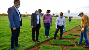 BAŞKAN ÇINAR, TARIMSAL ÜRETİM VE AR-GE SAHASINDA Kİ RULO ÇİMLERİN KESME VE SERME PROGRAMINA KATILDI  