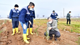 BAŞKAN ÇINAR, TARIMSAL ÜRETİM VE AR-GE SAHASINDA Kİ ÇALIŞMALARI İNCELEDİ