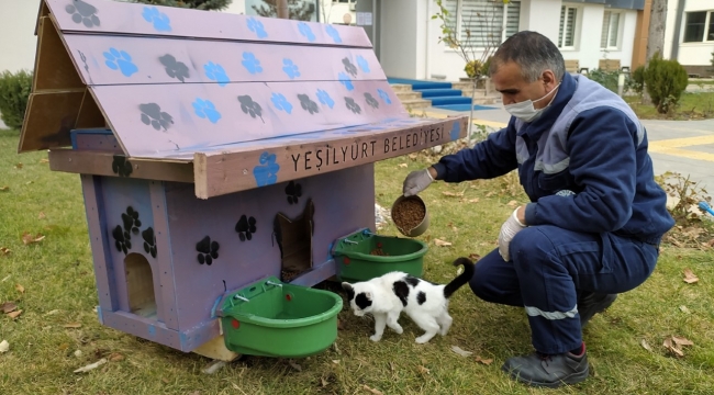 YEŞİLYURT BELEDİYESİ, SOKAK HAYVANLARI İÇİN 'KEDİ VE KÖPEK EVLERİ' PROJESİNİ BAŞLATTI 