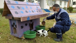 YEŞİLYURT BELEDİYESİ, SOKAK HAYVANLARI İÇİN 'KEDİ VE KÖPEK EVLERİ' PROJESİNİ BAŞLATTI 