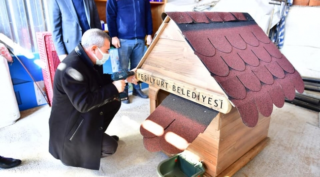YEŞİLYURT BELEDİYESİ, SOKAK HAYVANLARI İÇİN ÖRNEK BİR PROJE GELİŞTİRDİ