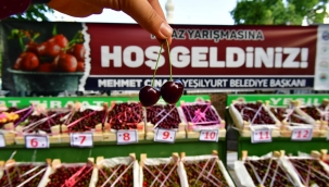  "Dalbastı Kirazımız ve Vişnemizin Daha Fazla Tercih Edilmesini Sağlayacağız"