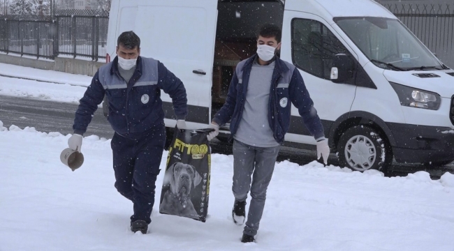 SOKAK HAYVANLARININ İMDADINA YEŞİLYURT BELEDİYESİ YETİŞTİ 