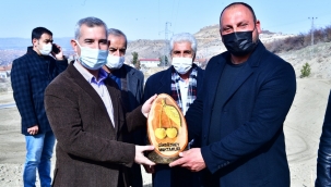 BAŞKAN ÇINAR, GÜNDÜZBEY'DE KURULAN 'KİRAZ VE VİŞNE BAHÇESİ' ALANINI İNCELEDİ