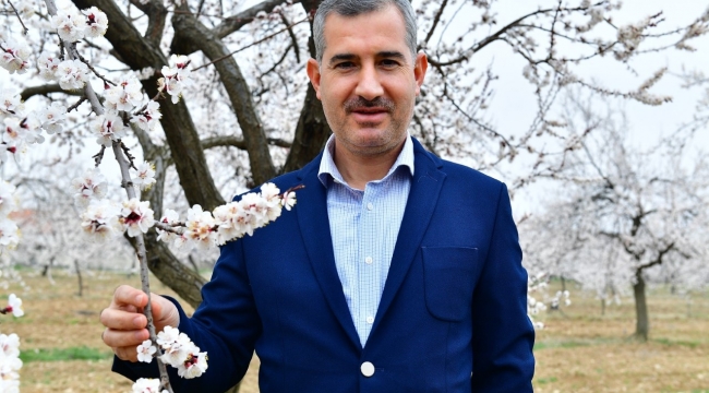 YEŞİLYURT'TA Kİ KAYISI BAHÇELERİ MUHTEŞEM ATMOSFERİ İLE GÖZ KAMAŞTIRIYOR