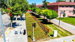 MALATYA PARKLARINI YAZLIK ÇİÇEKLER SÜSLÜYOR