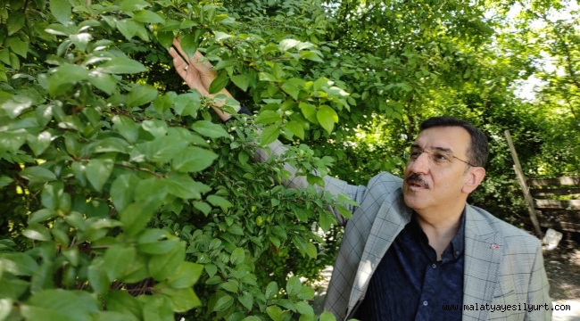 Tüfenkci gündemi değerlendirdi