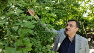 Tüfenkci gündemi değerlendirdi