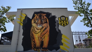 MALATYA CADDE VE SOKAKLARI RESİMLERLE GÜZELLEŞİYOR