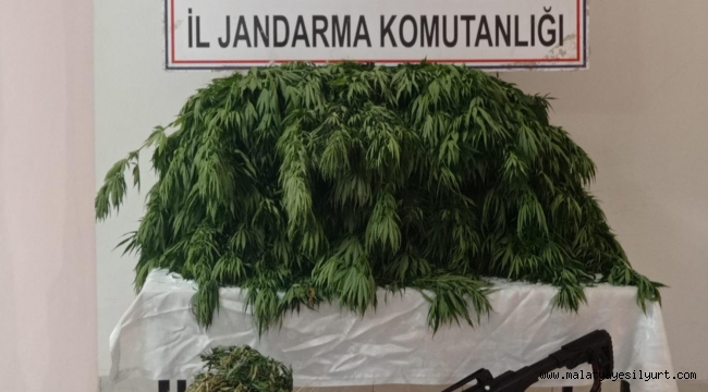 Malatya İl Jandarma Komutanlığınca yapılan istihbari çalışmalar neticesinde