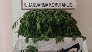 Malatya İl Jandarma Komutanlığınca yapılan istihbari çalışmalar neticesinde