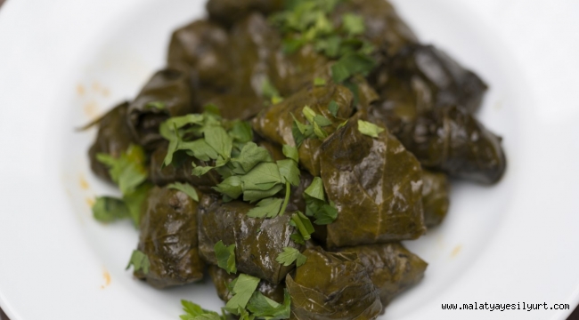 Malatya mutfağının vazgeçilmez lezzetleri arasında yer alan Arapgir Dolamasına Coğrafi İşaret Tescil Belgesi verildi.