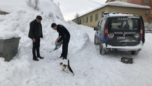 Arapgir Belediyesi elverişsiz hava şartlarında sokak hayvanlarını besliyor