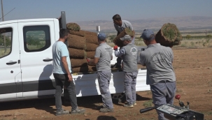 YEŞİLYURT BELEDİYESİ TARIMSAL ÜRETİM VE AR-GE SAHASINDAKİ RULO ÇİM ÜRETİMLERİNDE HEDEFLERİN ÜZERİNE ÇIKILDI